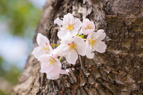 O que torna algumas pessoas mais resilientes do que outras