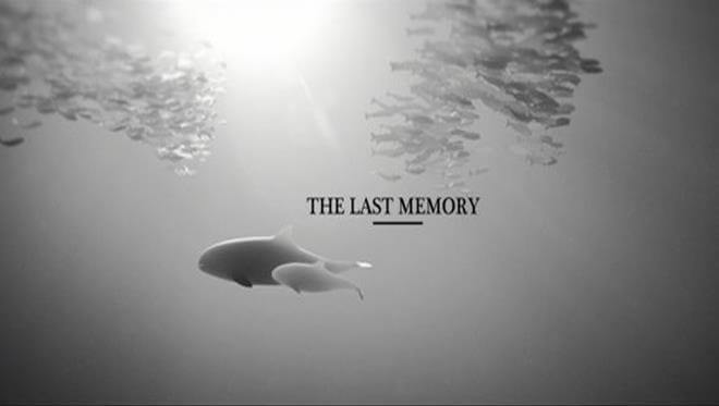 Curta sobre o oceano: uma realidade que você precisa conhecer