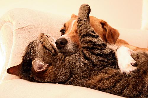 Quando é difícil confiar nos outros