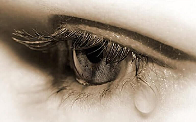 Aprender é um presente, mesmo que o mestre seja a dor