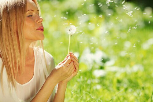 Aprenda a encontrar a alegria de cada dia