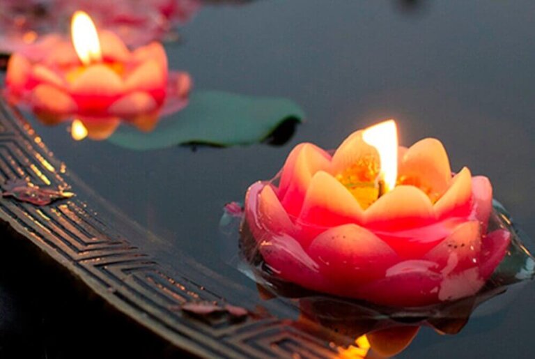 Só por hoje, que tudo flua e que nada influencie