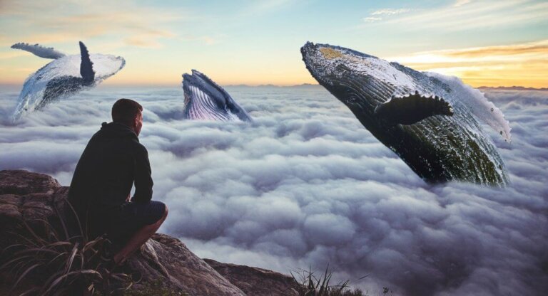 Aceitar-se incondicionalmente pode levar a vida inteira