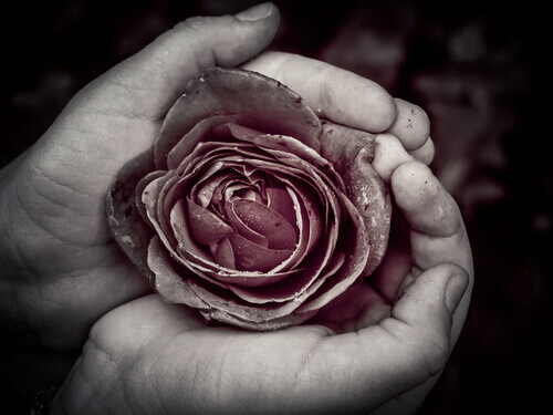 A perfeição que mora na imperfeição