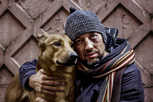 Amor aos animais, que loucura é essa?