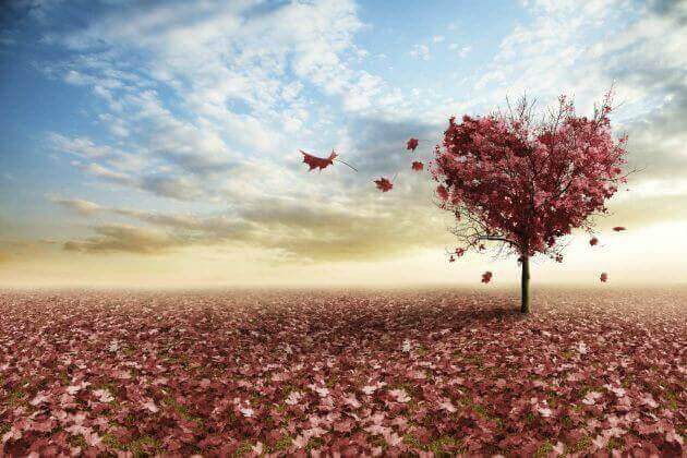 3 reflexões sobre o amor segundo Erich Fromm