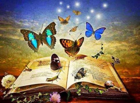 5 frases de livros que você não esquecerá