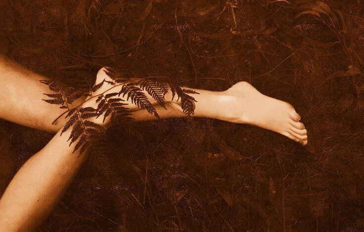 A samambaia e o bambu: uma fábula de esperança