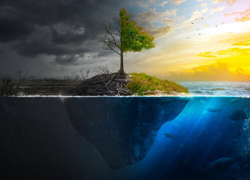 Eu acredito em milagres porque é um milagre eu estar aqui