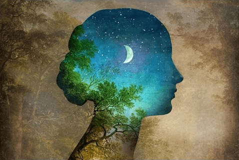 Você não é as experiências que vive, mas o que aprende com elas