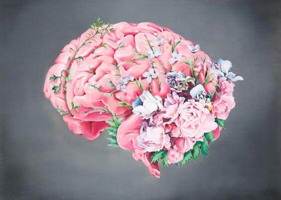 O circuito cerebral do prazer