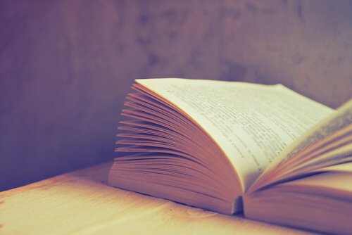 7 livros que farão você refletir sobre a sociedade atual