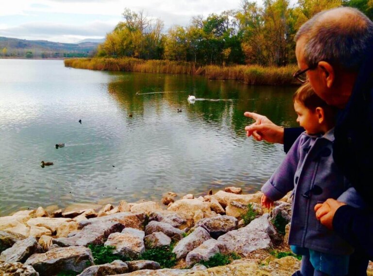 Os maravilhosos avós 3.0