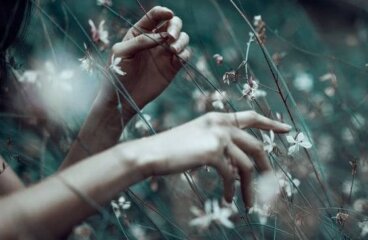 Se você deseja viver de verdade, viva lentamente