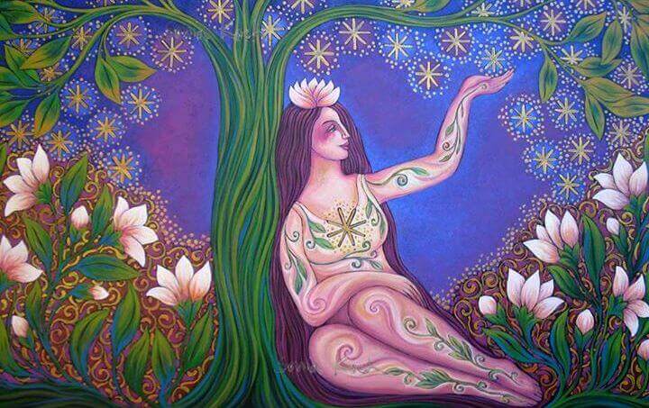 Acorde a abundância que existe em seu interior