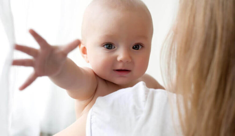 O experimento de Harlow e sua teoria do apego