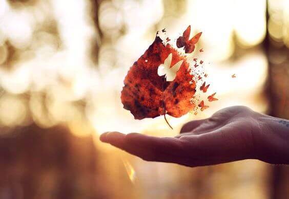 Há tempo de fazer perguntas e tempo de encontrar respostas