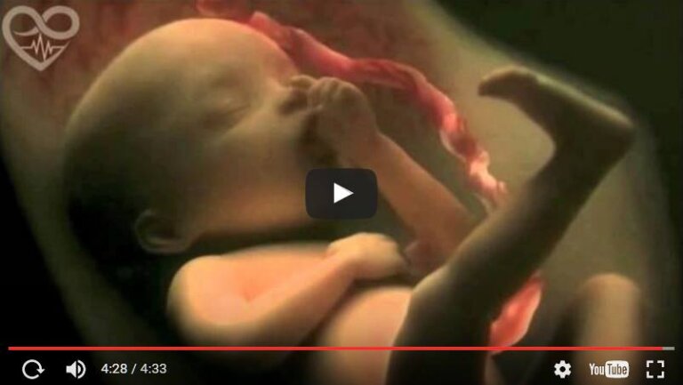 9 meses de gravidez em um maravilhoso vídeo de 4 minutos