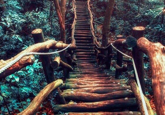 Mexa-se e o caminho aparecerá