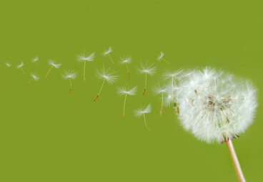 A maneira mais linda de fluir é deixar ir