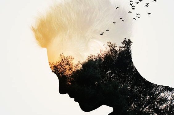 5 comportamentos que revelam falta de inteligência emocional