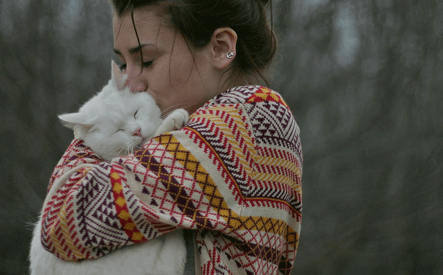 Animais de estimação que resgatam humanos: quando somos salvos por um animal
