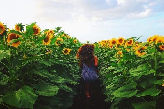 5 momentos que não se repetem e nenhum ser humano esquece