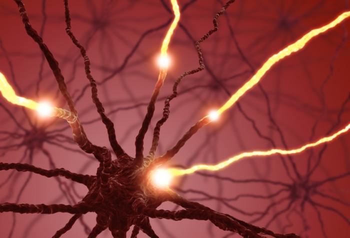 Você sabe o que é a serotonina e que efeitos tem em seu corpo?