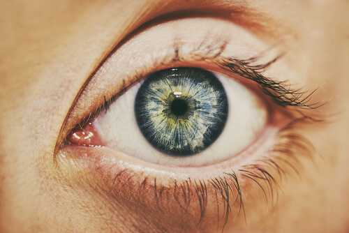 Além do olhar visível