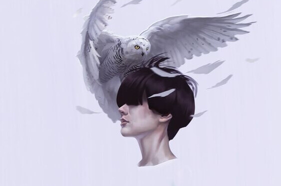 As aparências não enganam, as expectativas sim