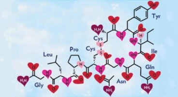 Oxitocina, o hormônio do amor e da felicidade