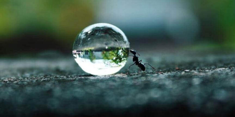 A persistência é o fôlego dos sonhos