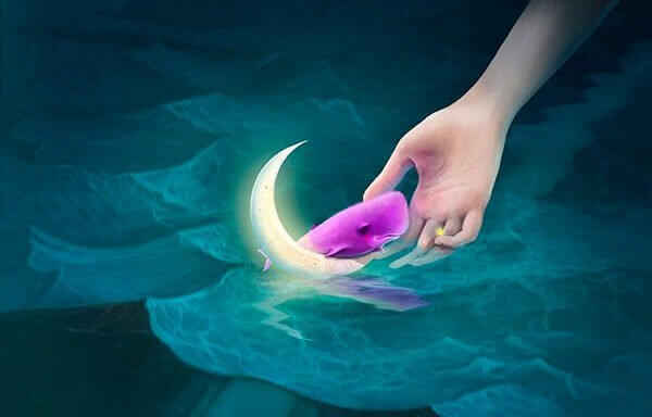 De que cor queremos que seja a baleia: “azul ou rosa”?