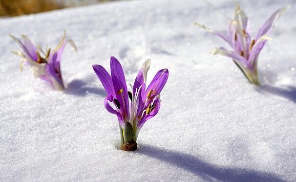 'Sisu', a receita finlandesa para os momentos difíceis