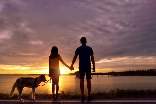 Se segurar a minha mão, podemos atravessar a vida até chegar onde o sol se põe...