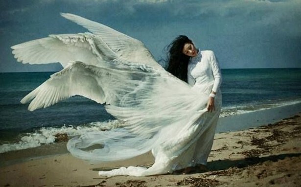 Viver com pressa nos afasta da nossa essência