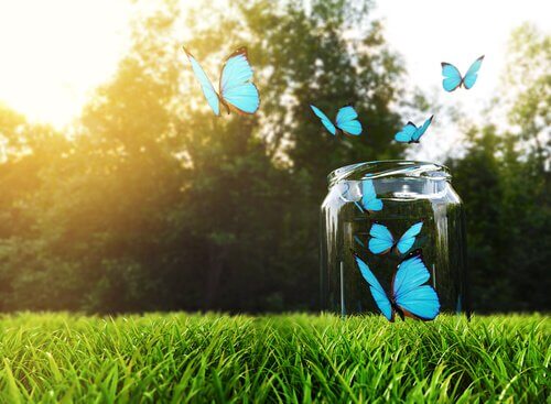 Você sabe o que é a técnica do pote da felicidade?