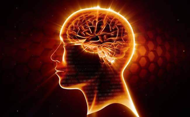 Conheça o efeito neuroprotetor do ômega 3