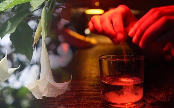 Escopolamina: a droga anuladora da vontade