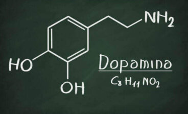 Dopamina: o que é e quais são suas funções?