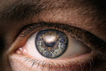 Cair em si: o melhor tombo da vida