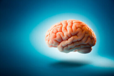 Conheça 5 mitos sobre o cérebro humano