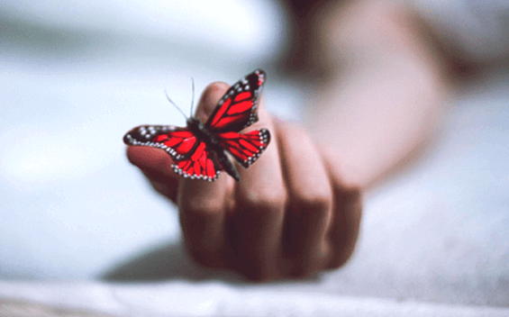 7 livros para superar a depressão