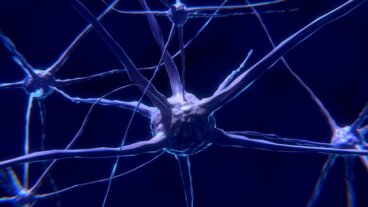 Características dos neurônios e como eles funcionam