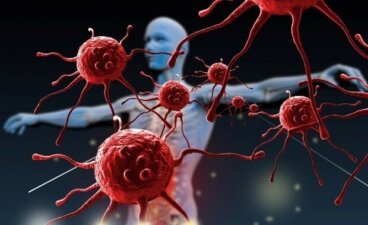 Como fortalecer o sistema imunológico?