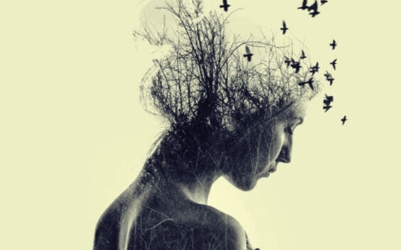 As opiniões, nossos julgamentos pessoais da realidade