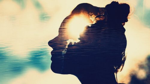 Mentes magnéticas: pessoas ávidas por aprender e se conectar emocionalmente