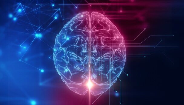 Córtex orbitofrontal: a sede do nosso comportamento