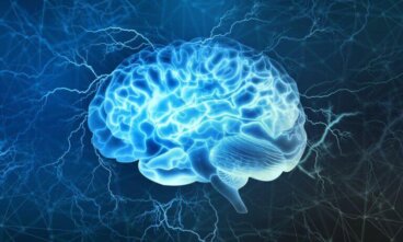 Córtex pré-frontal: uma das áreas mais interessantes do cérebro