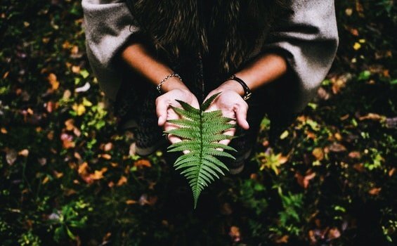 O sentido da vida se escreve com calma e paciência